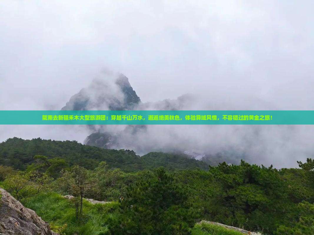 陇南去新疆禾木大型旅游团