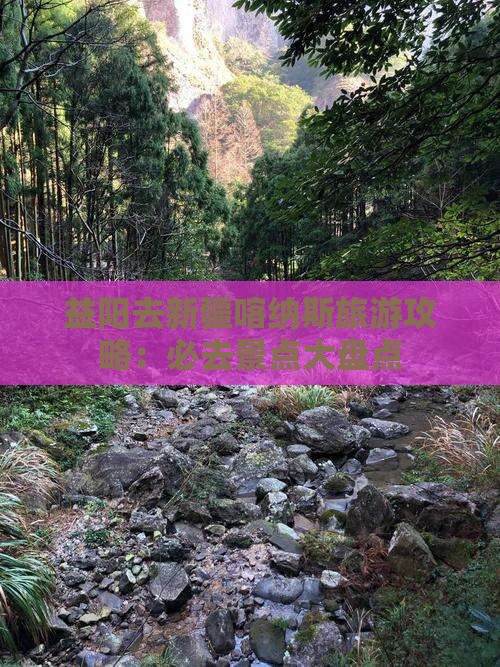 益阳去新疆喀纳斯必去地