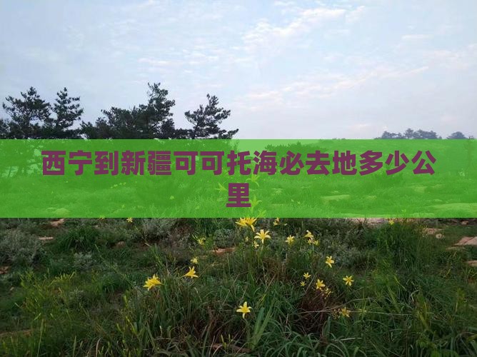 西宁到新疆可可托海必去地