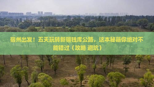 宿州到新疆独库公路五日游