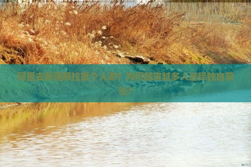 阿里去新疆那拉提个人游