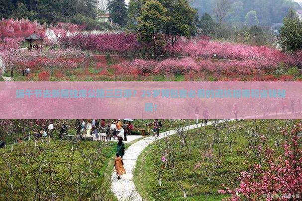 端午节去新疆独库公路三日游