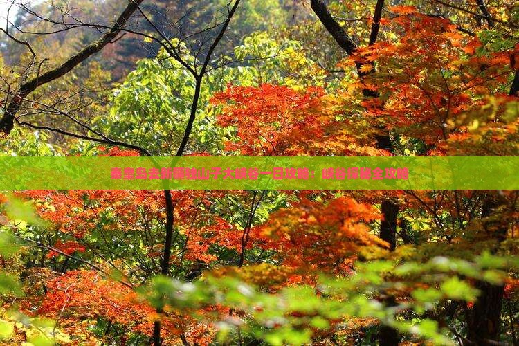秦皇岛去新疆独山子大峡谷一日