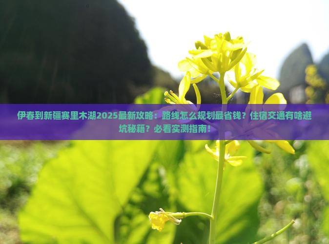 伊春到新疆赛里木湖攻略