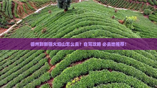 德州到新疆火焰山必去地