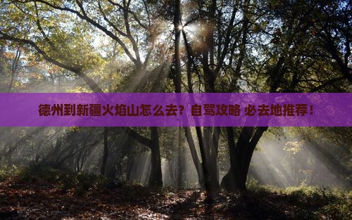 德州到新疆火焰山必去地