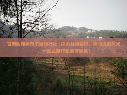 甘南到新疆布尔津旅行社