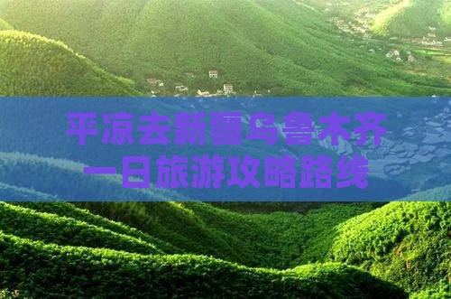 平凉去新疆乌鲁木齐一日
