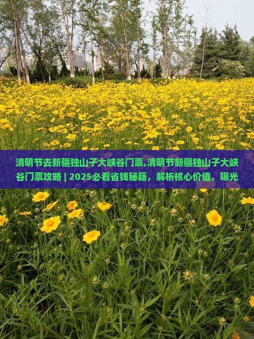 清明节去新疆独山子大峡谷门票