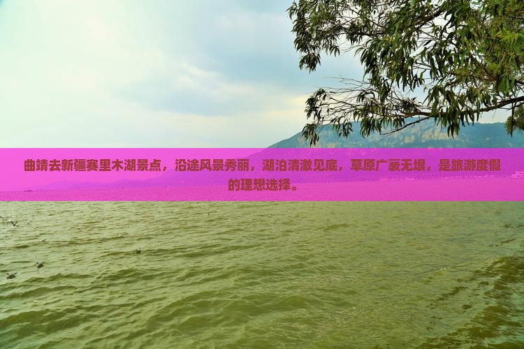 曲靖去新疆赛里木湖景点