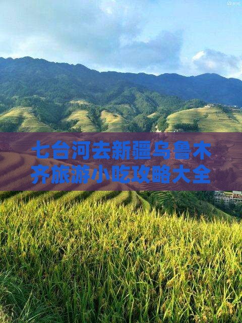 七台河去新疆乌鲁木齐旅游小吃