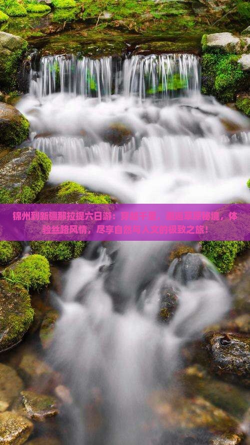 锦州到新疆那拉提六日游
