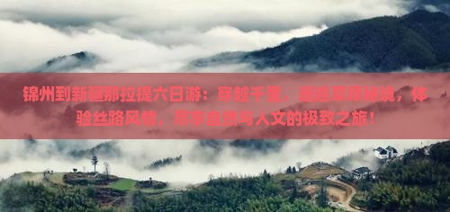 锦州到新疆那拉提六日游