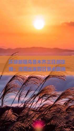 沈阳去新疆乌鲁木齐四日游 沈阳去新疆乌鲁木齐四日游