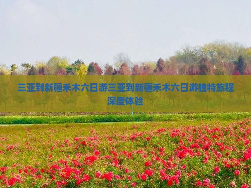 三亚到新疆禾木六日游