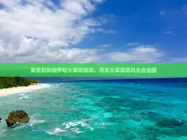 莱芜到新疆伊犁大草原自由团