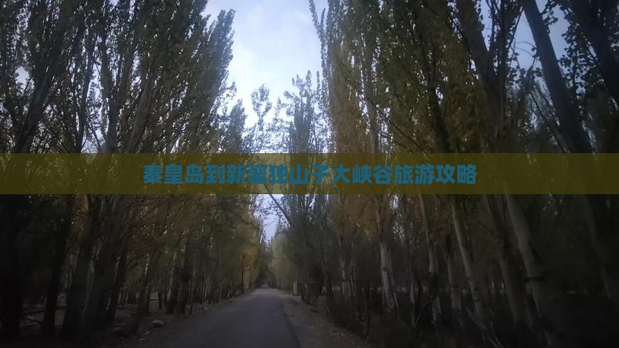 秦皇岛到新疆独山子大峡谷景点