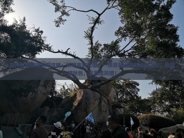 潮州去新疆喀纳斯攻略