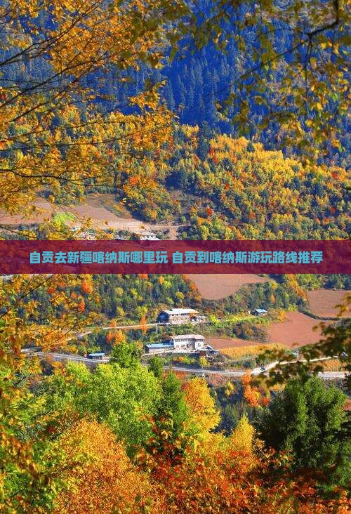 自贡去新疆喀纳斯哪里玩