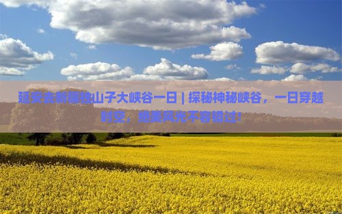 延安去新疆独山子大峡谷一日
