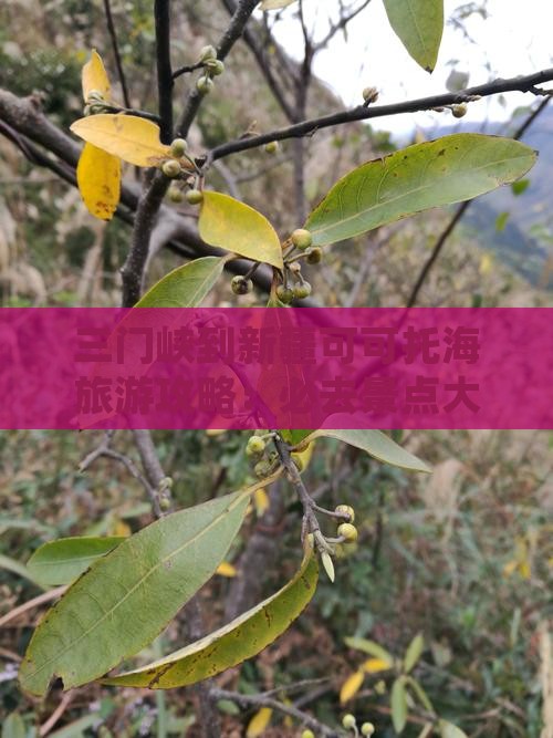 三门峡到新疆可可托海哪里玩