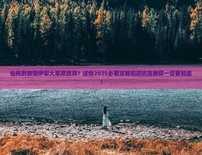 仙桃到新疆伊犁大草原旅游