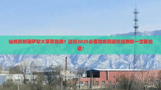 仙桃到新疆伊犁大草原旅游