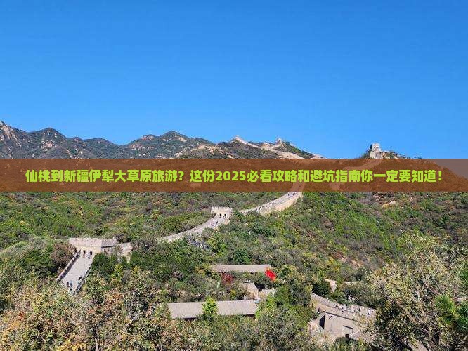 仙桃到新疆伊犁大草原旅游