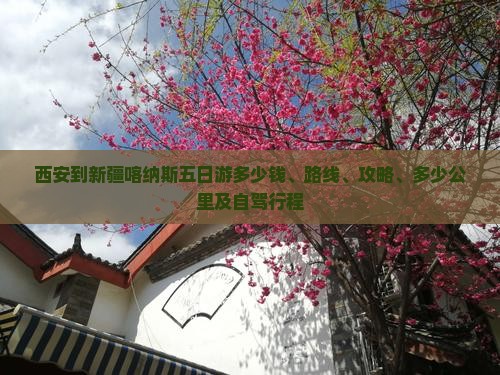 西安到新疆喀纳斯五日游
