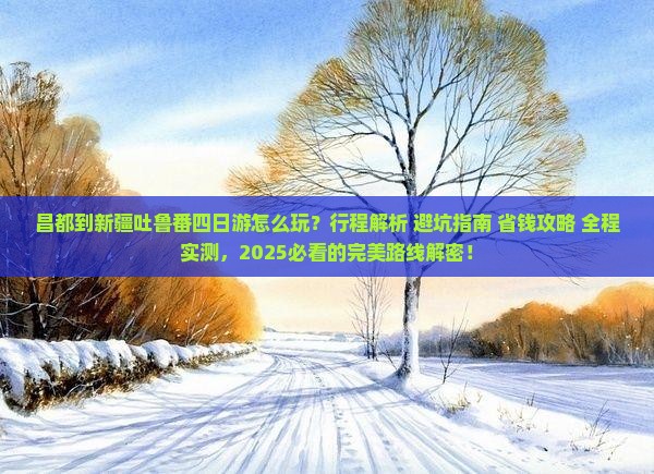 昌都到新疆吐鲁番四日游