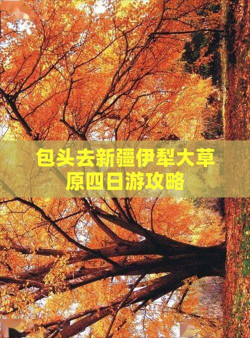 包头去新疆伊犁大草原四日游