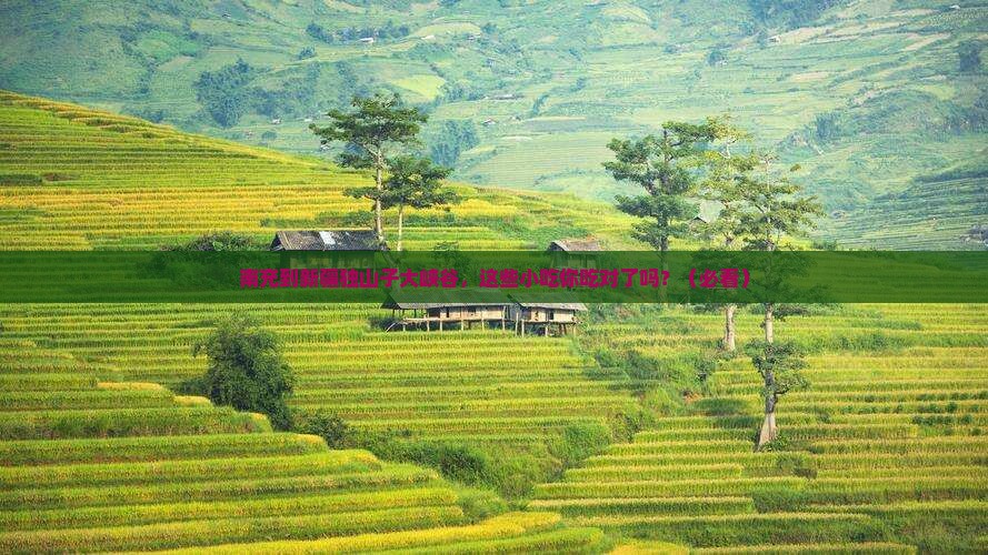 南充到新疆独山子大峡谷旅游小吃