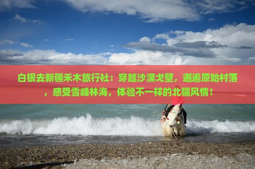 白银去新疆禾木旅行社