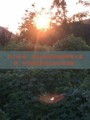 锡林郭勒盟到新疆伊犁大草原旅游小吃