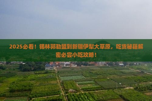 锡林郭勒盟到新疆伊犁大草原旅游小吃