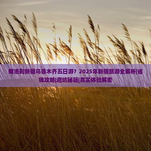 商洛去新疆乌鲁木齐五日游