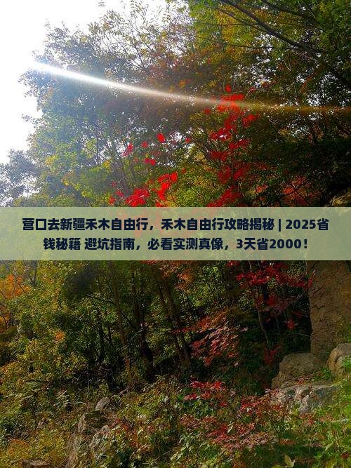 营口去新疆禾木自由行
