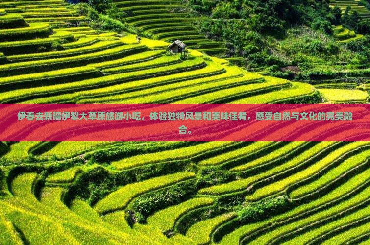 伊春去新疆伊犁大草原旅游小吃