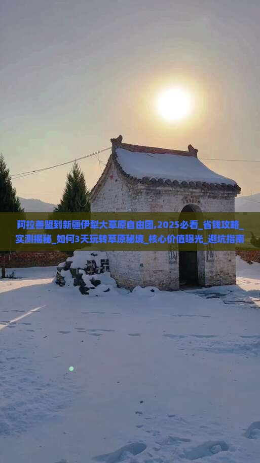 阿拉善盟到新疆伊犁大草原自由团