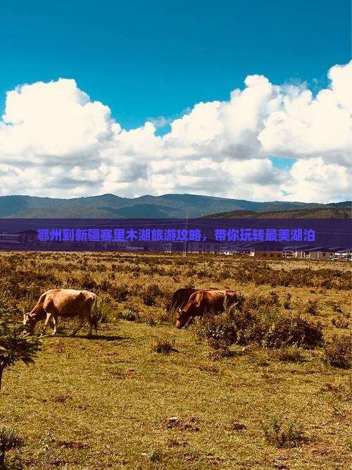 鄂州去新疆赛里木湖景点