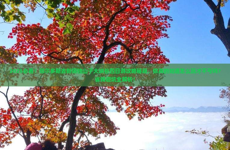 鄂尔多斯去新疆独山子大峡谷四日游