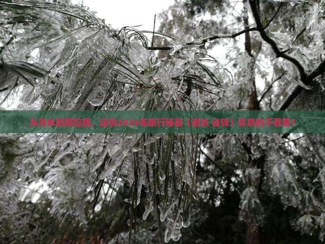海东到新疆那拉提攻略
