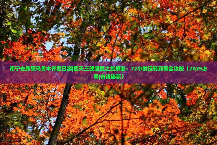 南宁去新疆乌鲁木齐四日游