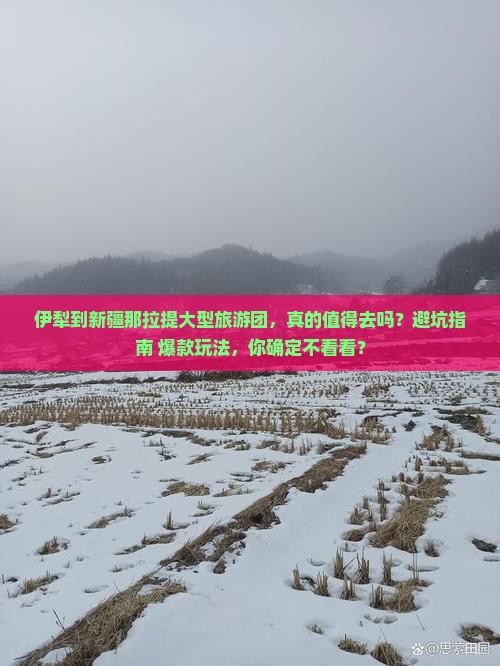 伊犁到新疆那拉提大型旅游团