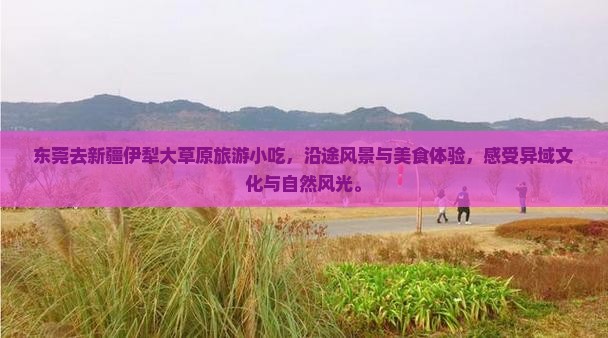东莞去新疆伊犁大草原旅游小吃