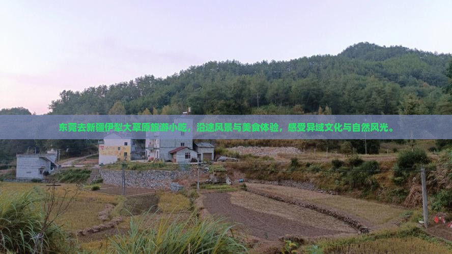 东莞去新疆伊犁大草原旅游小吃