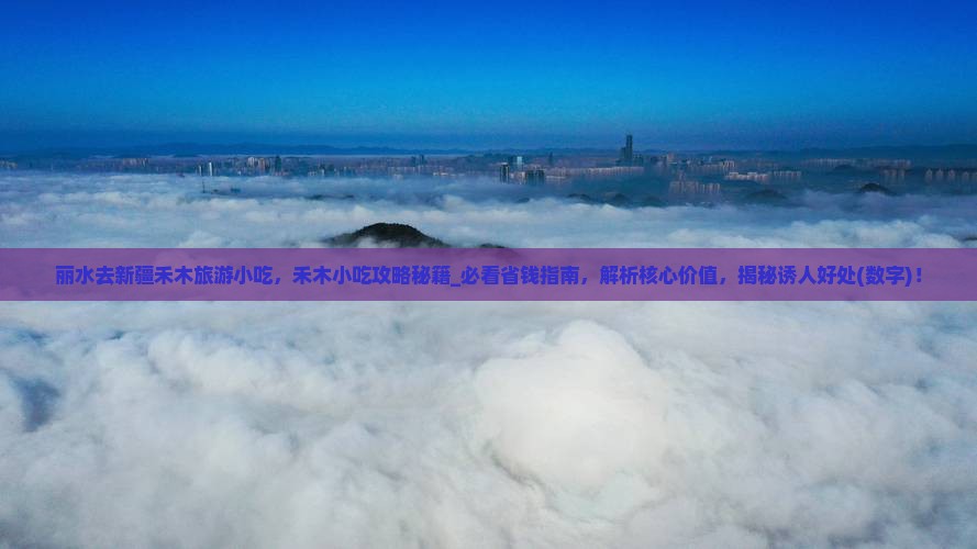 丽水去新疆禾木旅游小吃
