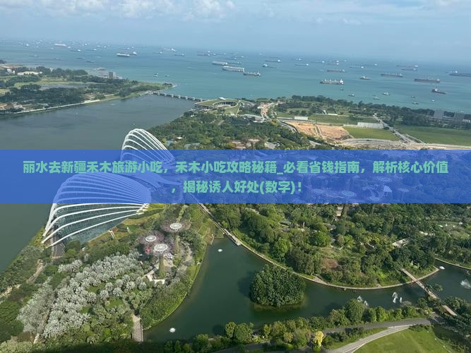 丽水去新疆禾木旅游小吃