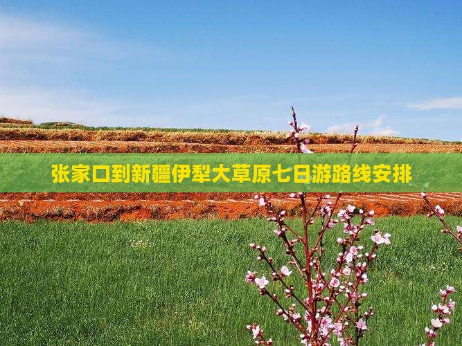张家口到新疆伊犁大草原七日游