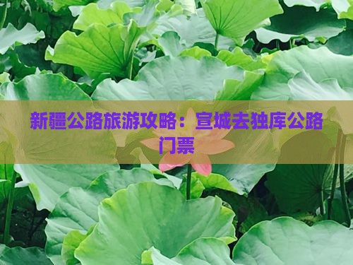 宣城去新疆独库公路门票